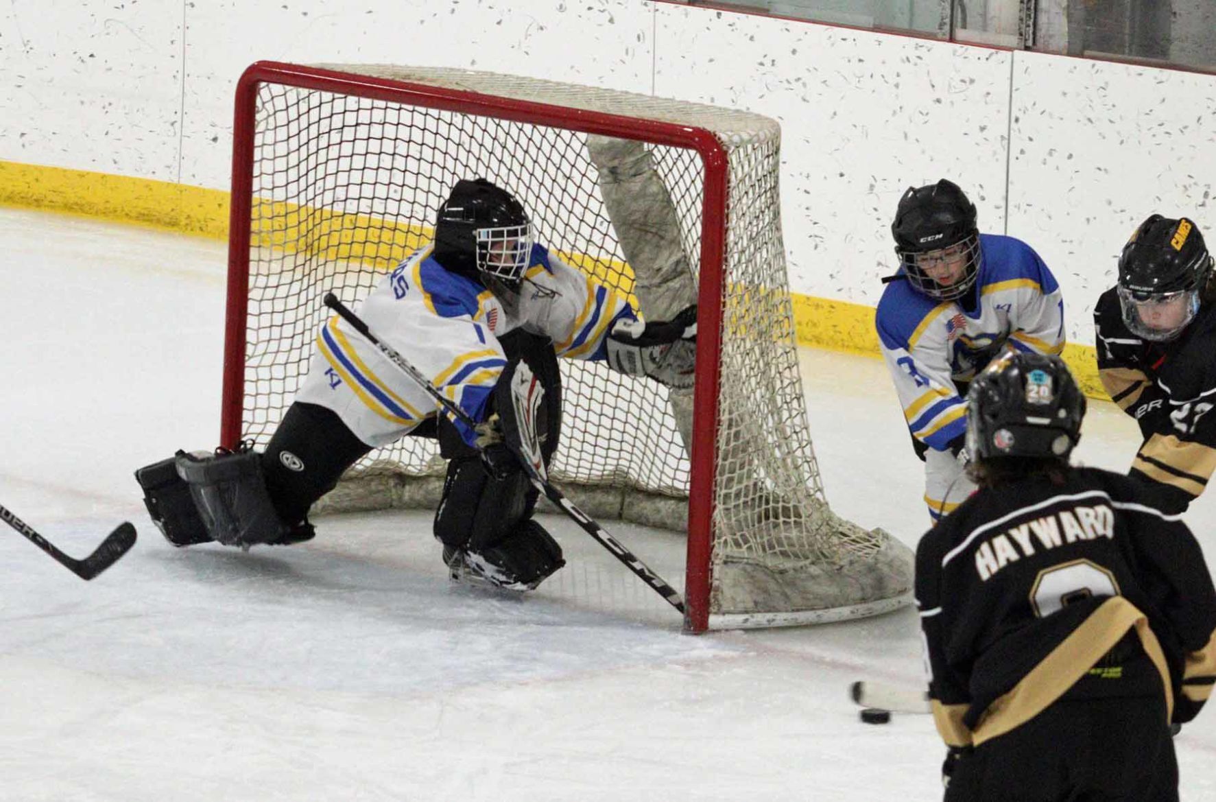 Rice Lake youth hockey 12-17-22